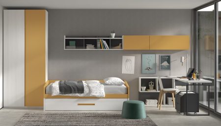 Dormitorio juvenil con cama de arrastre 201-107