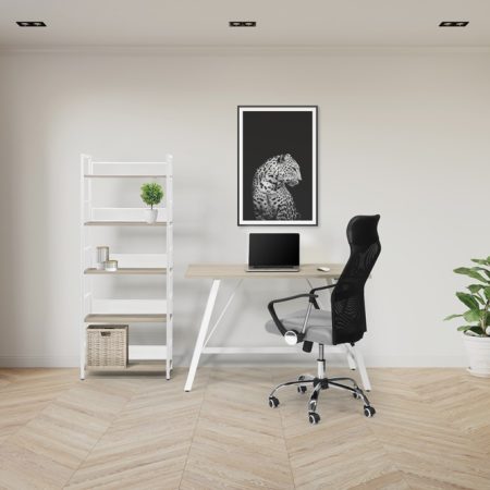 Empty room with white wall, window, grey curtain and green plant