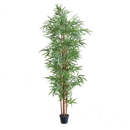 276-34.planta_bambu_180cm